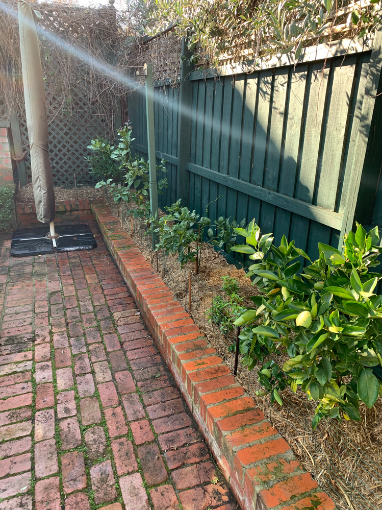 IMG_2134 2.png IMG_2134 2.png