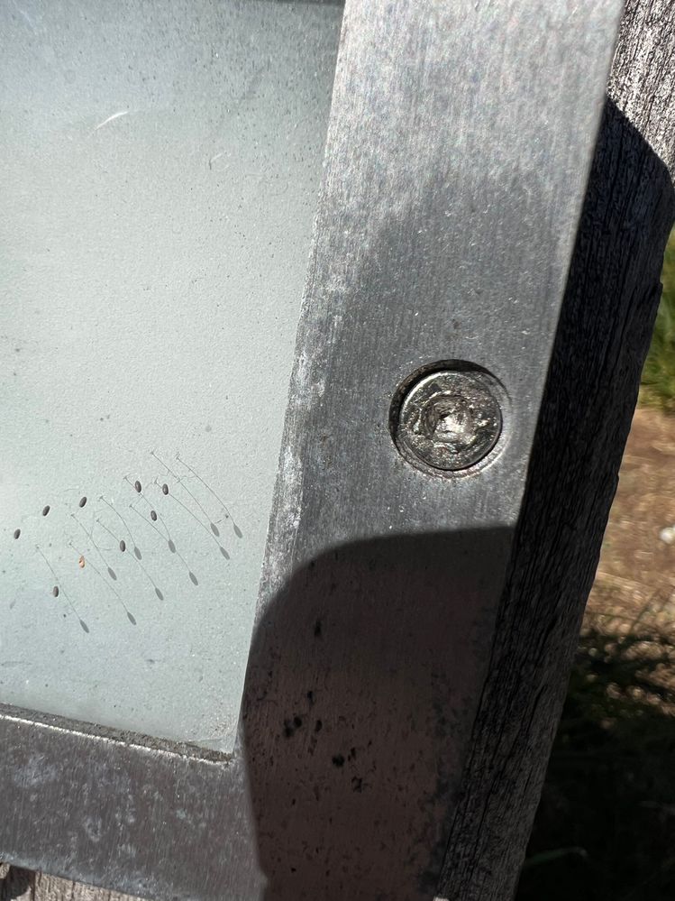 IMG_2563.jpg IMG_2563.jpg