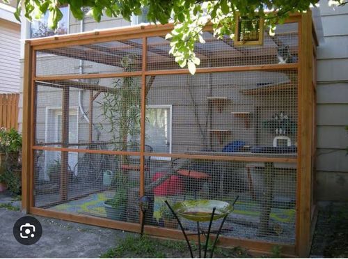 IMG_1325.jpeg IMG_1325.jpeg