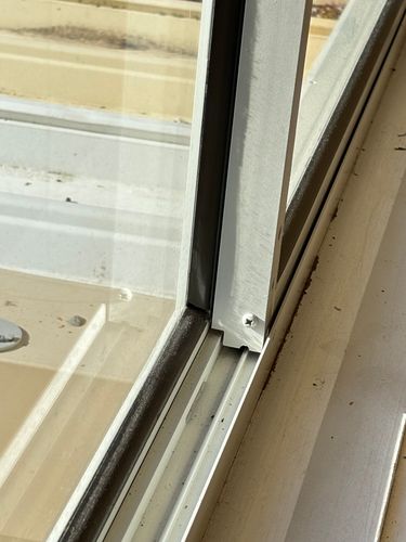 IMG_0836.jpeg IMG_0836.jpeg