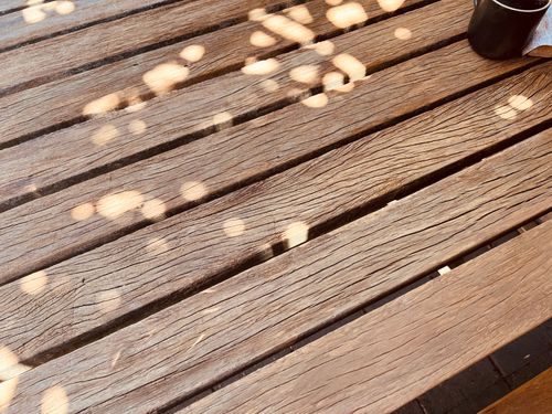 IMG_4649.jpeg IMG_4649.jpeg