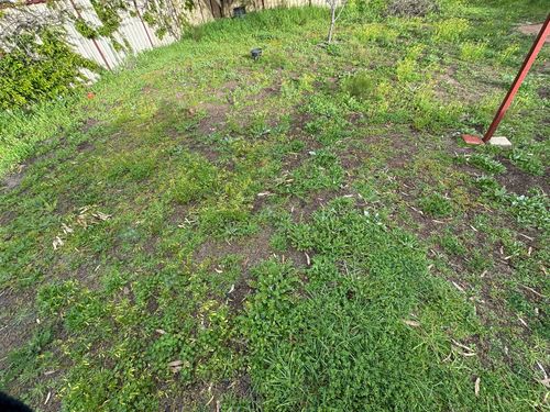 IMG_3583.jpeg IMG_3583.jpeg