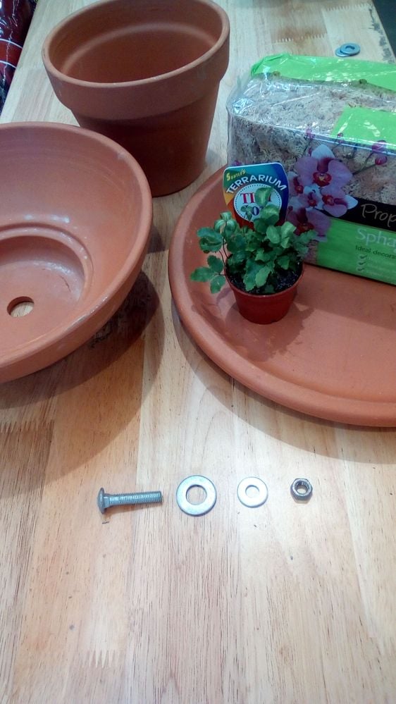 2 What You'll Need.jpg 2 What You'll Need.jpg