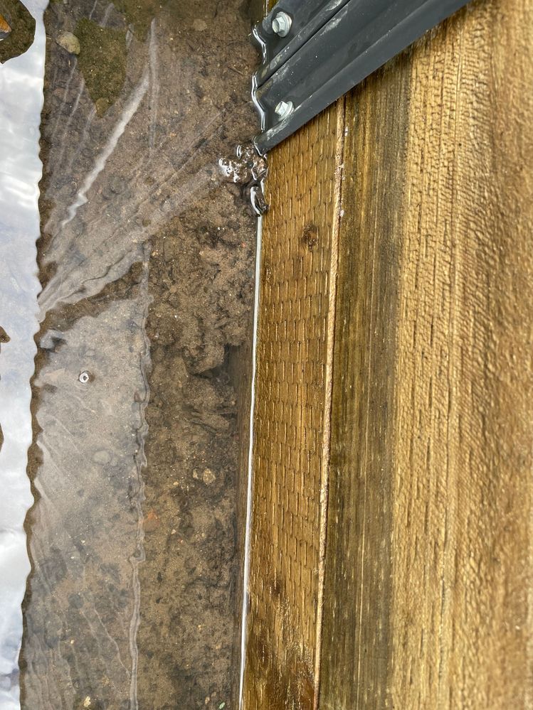 IMG_6408.JPG IMG_6408.JPG