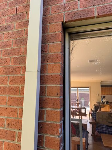 IMG_5641.jpeg IMG_5641.jpeg