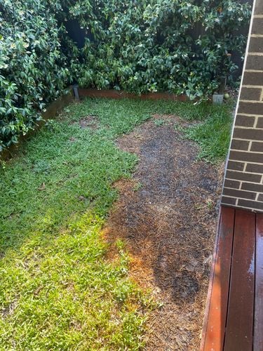 IMG_3795.jpeg IMG_3795.jpeg