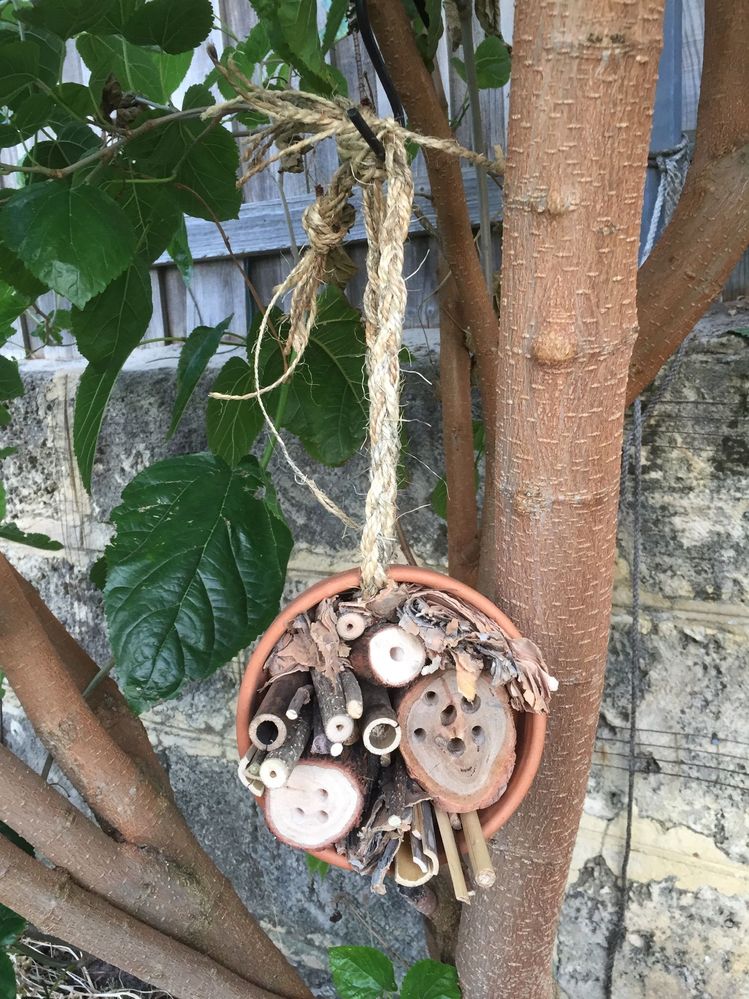 51B6E1F1-5173-4B53-9534-7D73D5DCEE3A.jpeg 51B6E1F1-5173-4B53-9534-7D73D5DCEE3A.jpeg