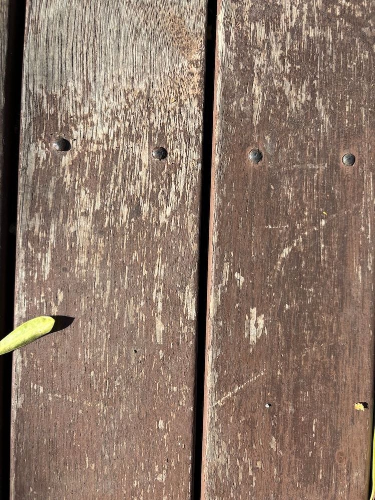 IMG_4601.JPG IMG_4601.JPG