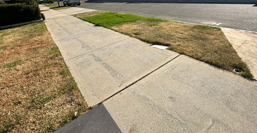 IMG_4529.jpeg IMG_4529.jpeg