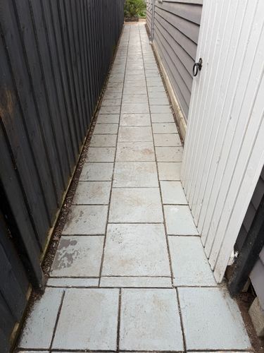 IMG_6647.jpeg IMG_6647.jpeg