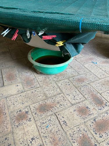 54DE2CCE-FB46-4490-B510-93BD407CF8F4.jpeg 54DE2CCE-FB46-4490-B510-93BD407CF8F4.jpeg