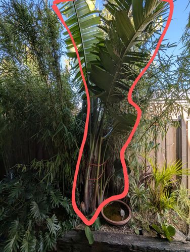 1000009086.jpg 1000009086.jpg