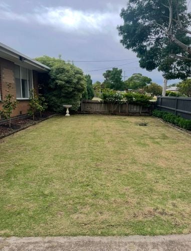 IMG_5557.jpeg IMG_5557.jpeg