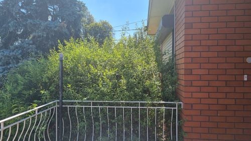 1000007165.jpg 1000007165.jpg