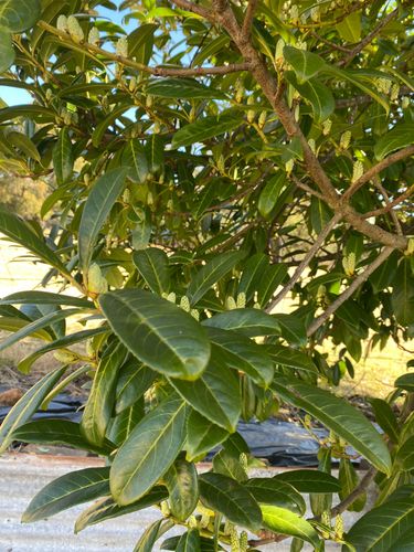 IMG_3388.jpeg IMG_3388.jpeg