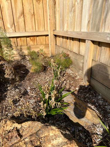 IMG_3692.jpeg IMG_3692.jpeg