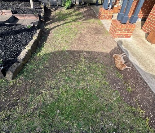 IMG_2442.jpeg IMG_2442.jpeg