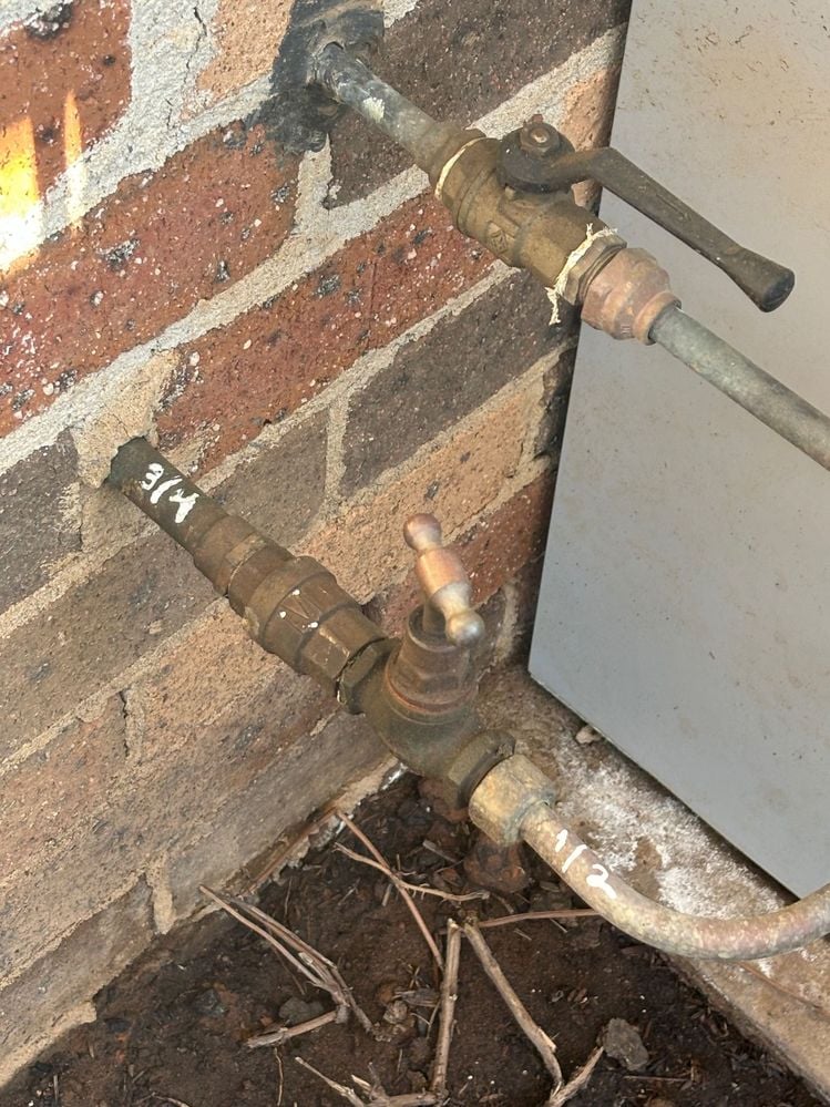 IMG_4446.jpg IMG_4446.jpg