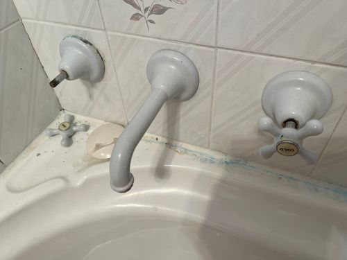 IMG_5694.jpeg IMG_5694.jpeg