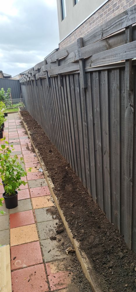 20201031_144127.jpg 20201031_144127.jpg