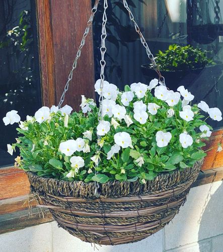 E4E0666E-4519-4D8D-937C-468AC7BA1C26.jpeg E4E0666E-4519-4D8D-937C-468AC7BA1C26.jpeg