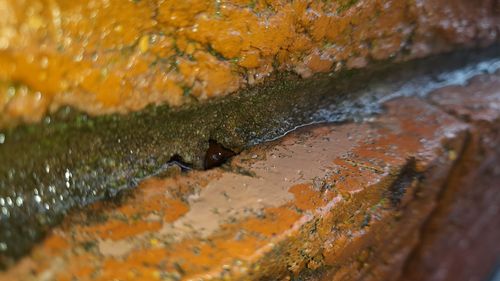 20220704_124210.jpg 20220704_124210.jpg