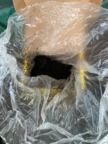 F219E9EE-21A1-48E3-9696-051A685E90CA.jpeg F219E9EE-21A1-48E3-9696-051A685E90CA.jpeg