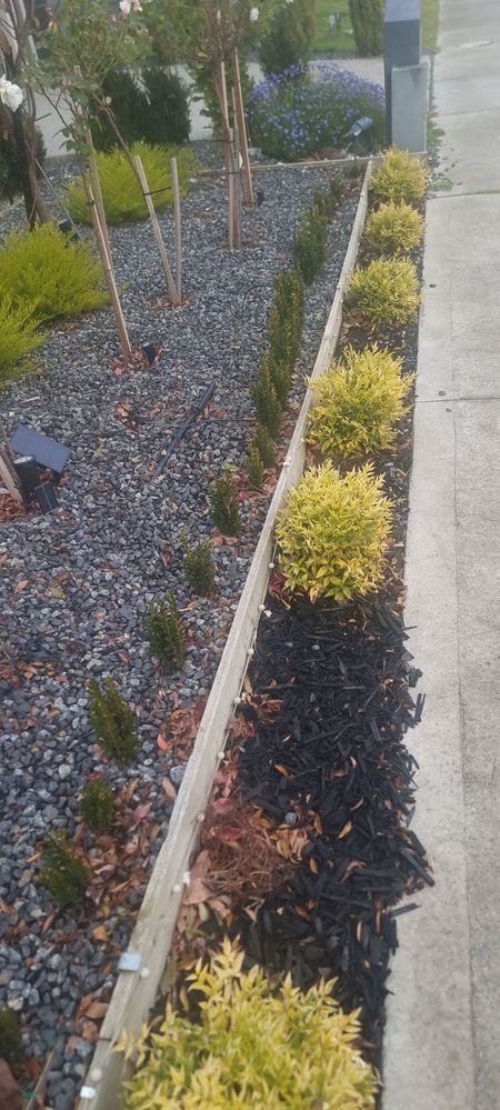 20250627_083051.jpg 20250627_083051.jpg