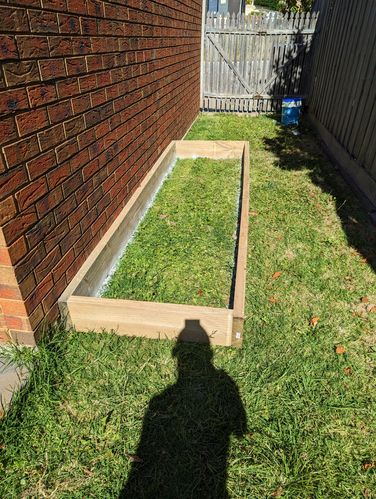 PXL_20221225_055340044.jpg PXL_20221225_055340044.jpg