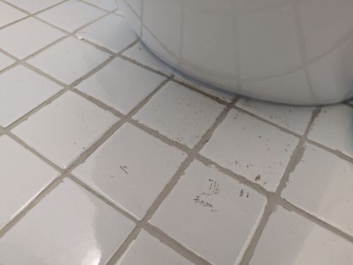 1000039524.jpg 1000039524.jpg