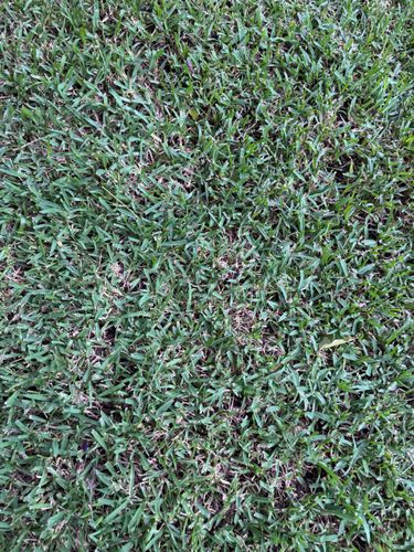 IMG_4348.jpeg IMG_4348.jpeg