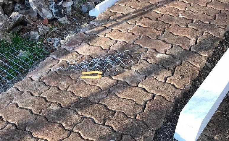 04_13-08-2022.jpg 04_13-08-2022.jpg