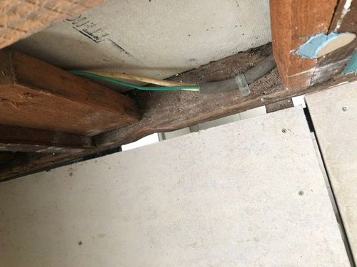 6C4B87A4-94A6-4861-B0B9-1BFFDA957F88.jpeg 6C4B87A4-94A6-4861-B0B9-1BFFDA957F88.jpeg