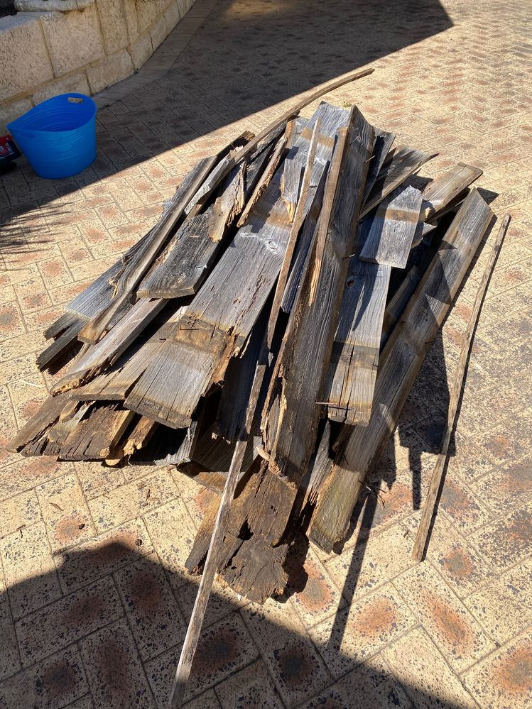 IMG_3843.jpeg IMG_3843.jpeg