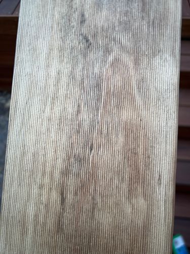 IMG_7395.jpeg IMG_7395.jpeg