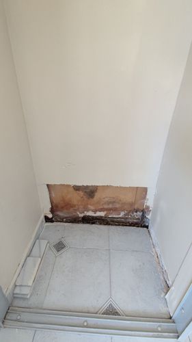 IMG_20251002_114223.jpg IMG_20251002_114223.jpg