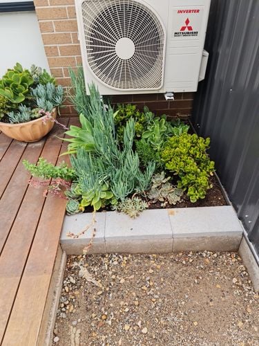 20220128_103722.jpg 20220128_103722.jpg