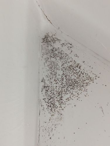 1000028101.jpg 1000028101.jpg