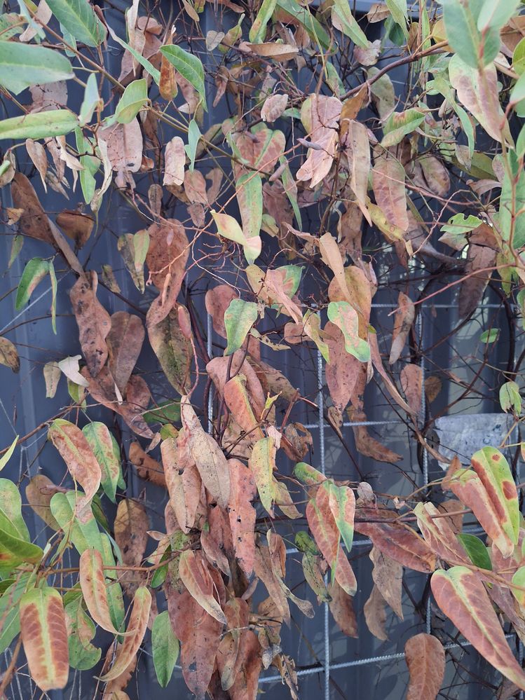 20241213_193231.jpg 20241213_193231.jpg