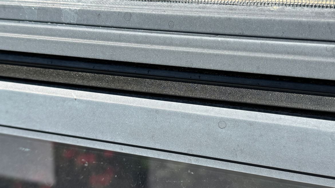 IMG_2953.jpeg IMG_2953.jpeg