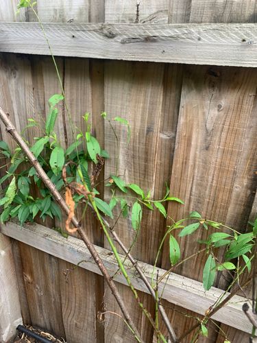 IMG_7072.jpeg IMG_7072.jpeg