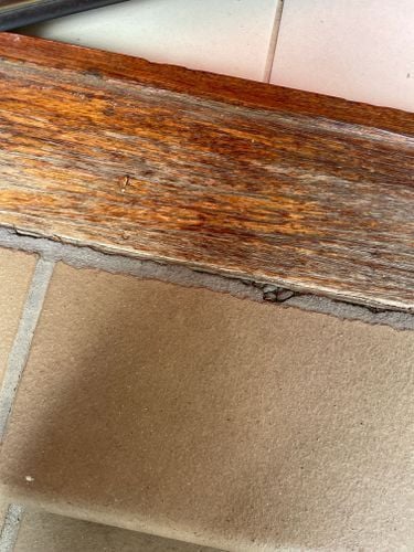 IMG-3638.jpg IMG-3638.jpg