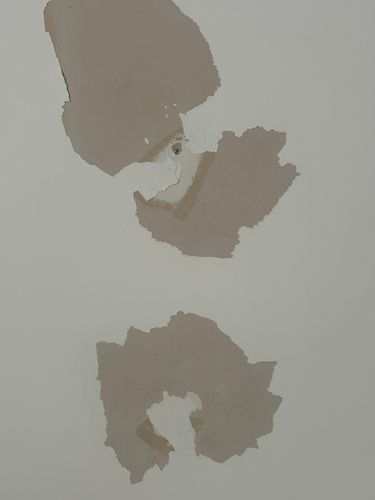 IMG_7014.jpeg IMG_7014.jpeg