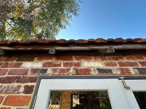 IMG_9386.jpeg IMG_9386.jpeg