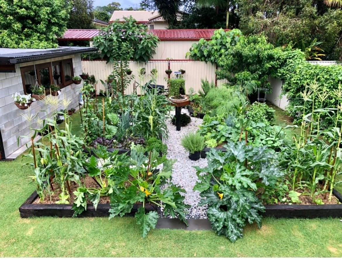 A41024FA-DACC-4443-AF98-57DF2E1B0E4A.jpeg A41024FA-DACC-4443-AF98-57DF2E1B0E4A.jpeg