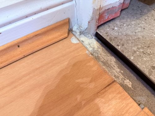 IMG_2313.jpeg IMG_2313.jpeg