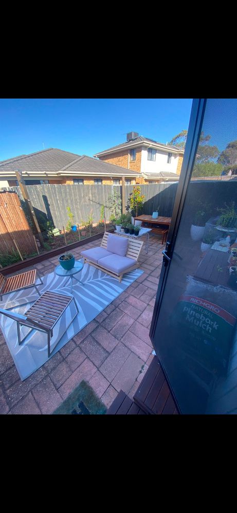 IMG_8862.jpeg IMG_8862.jpeg