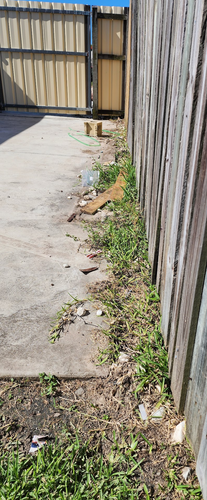 Carlton_0-1735277633574.png Carlton_0-1735277633574.png