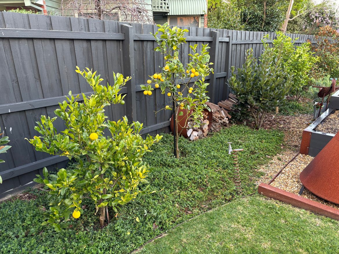 IMG_8878.jpeg IMG_8878.jpeg