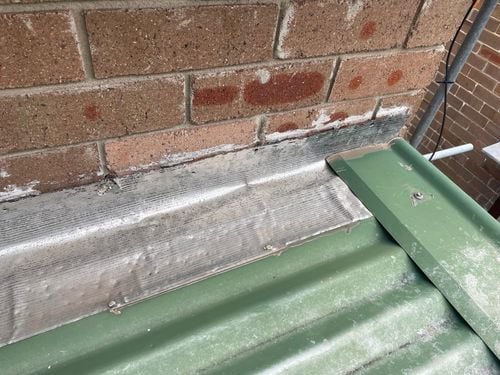 IMG_6147.jpeg IMG_6147.jpeg